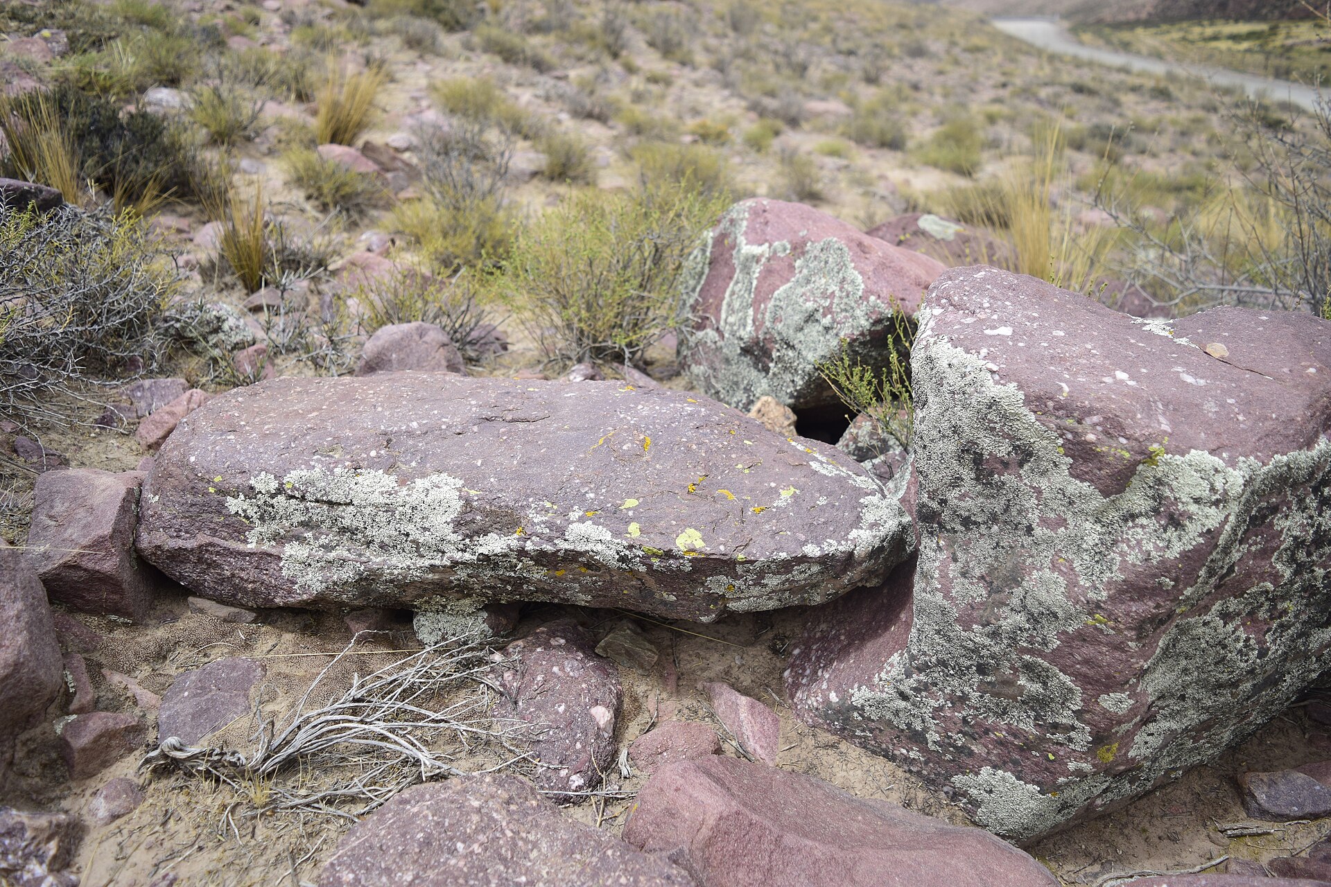 Itinéraire nord argentin : L'expérience ultime de l'Argentine du Nord