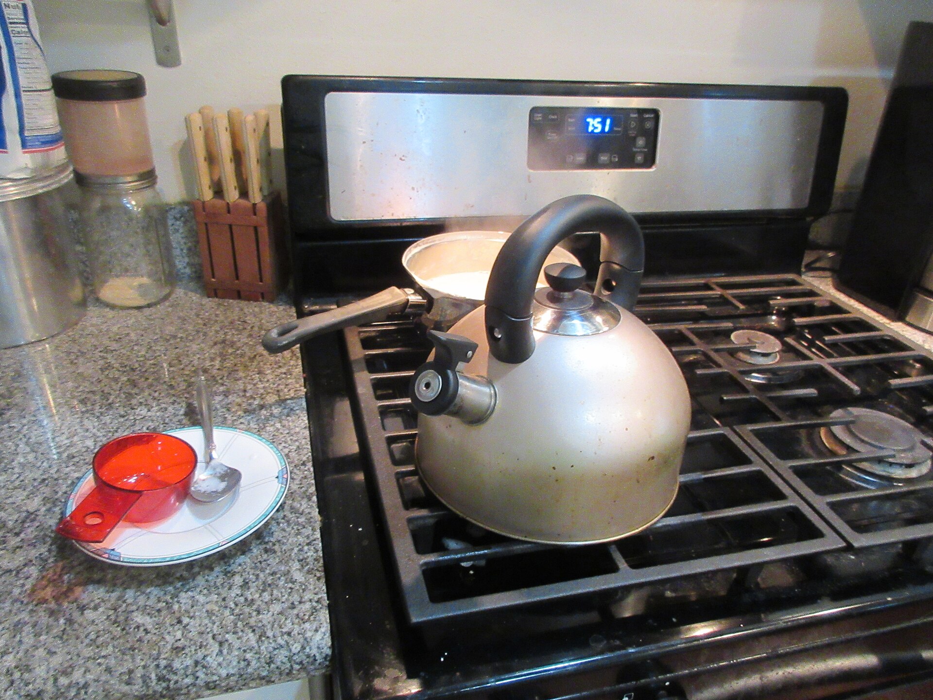 Le maté : guide complet