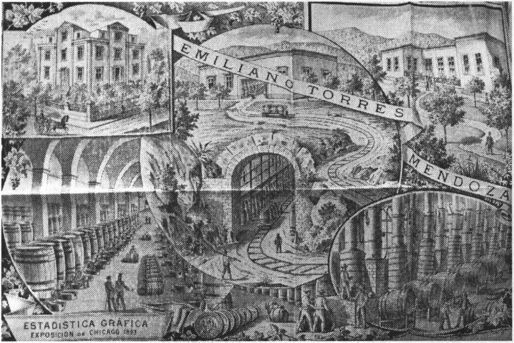 Mendoza : guide complet