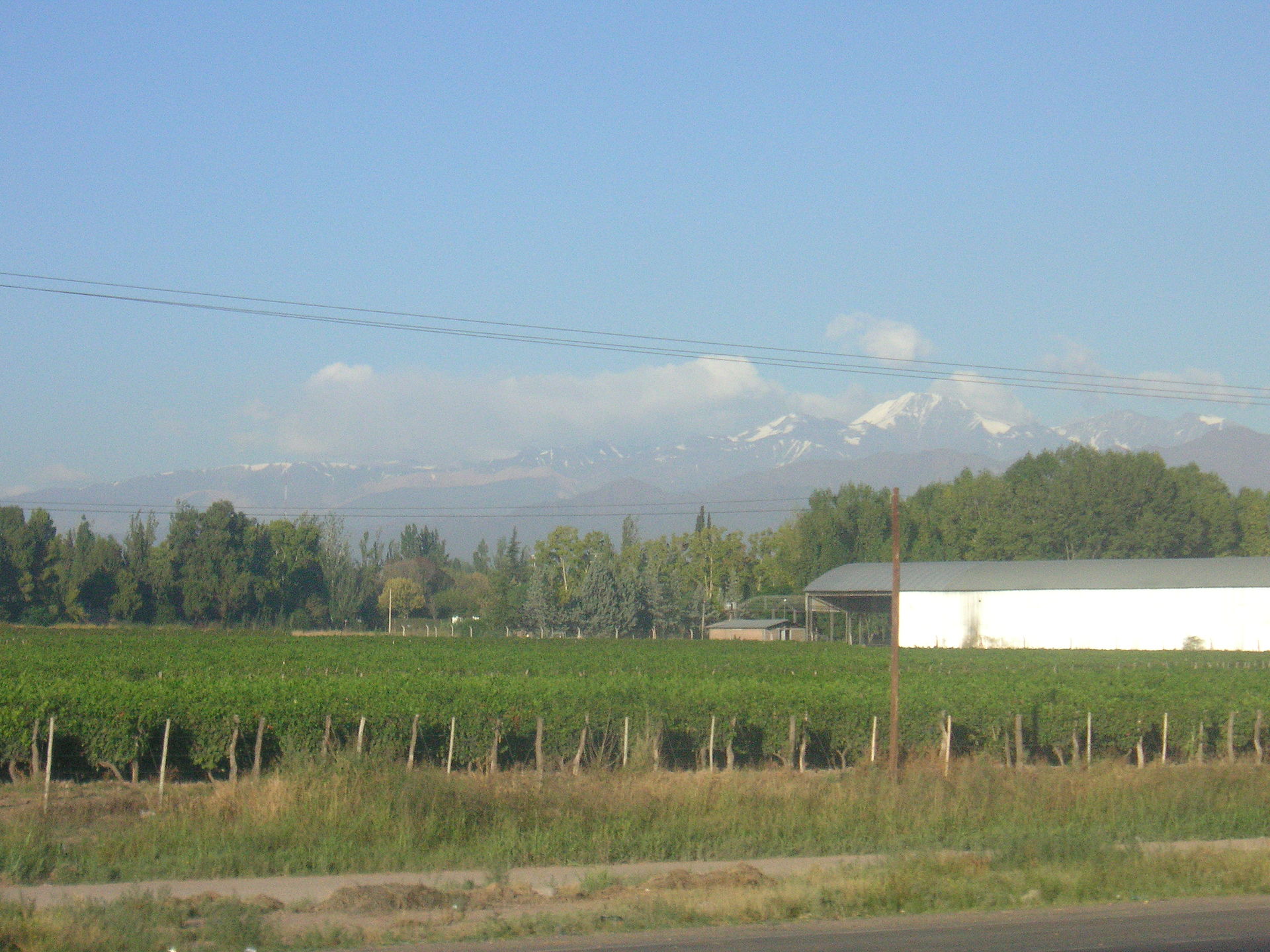 Mendoza vs Chili vins : Le Grand Duel de la Vigne Argentine