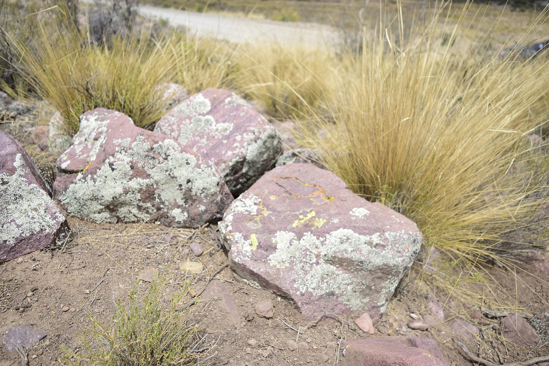 Nord argentin : conseils pratiques
