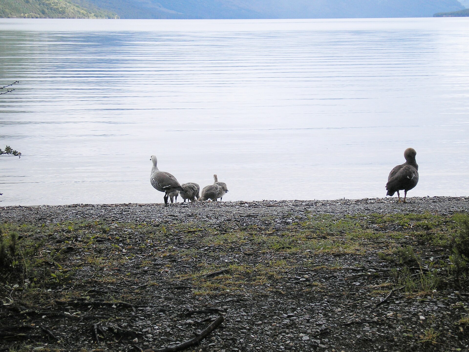 Parc Tierra del Fuego : guide