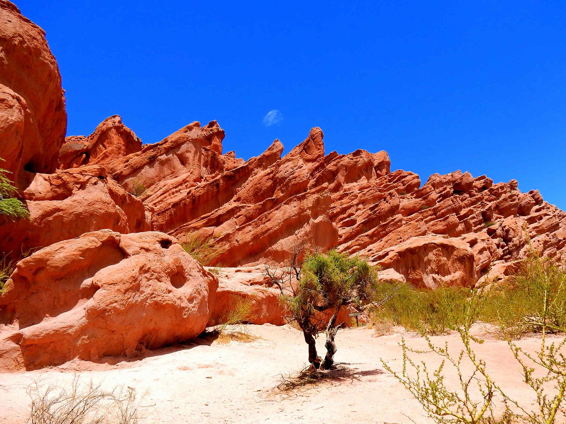 Quand partir dans le nord argentin ?