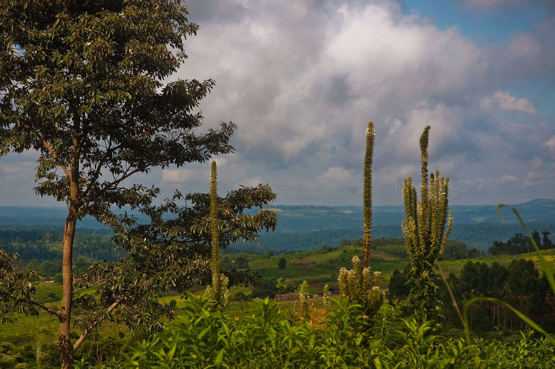 Quand partir en Argentine ?